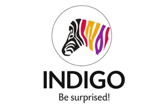INDIGO PAINTS